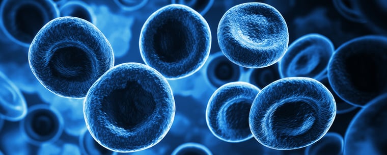 Celnova - Síndrome metabólico y su relación con la diabetes tipo 2