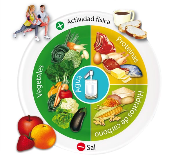 Celnova - ¿Cómo armar un plato saludable?
