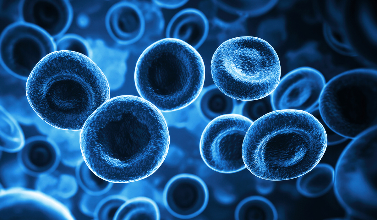 Celnova - Síndrome metabólico y su relación con la diabetes tipo 2