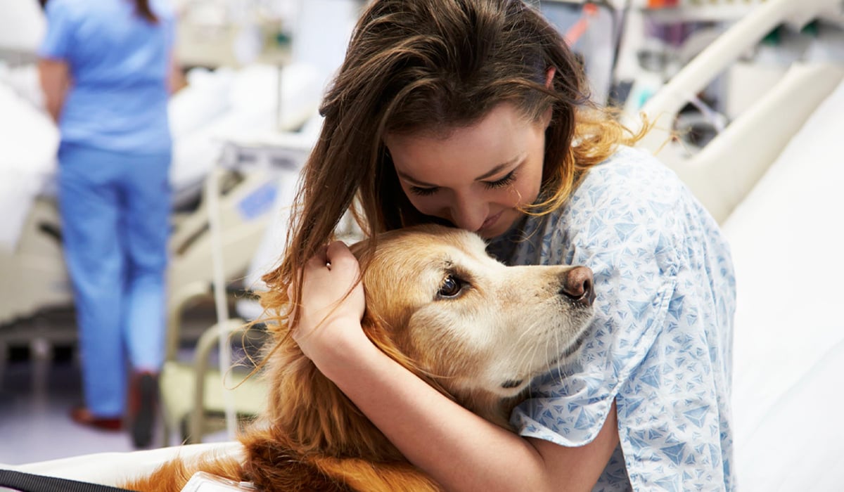 Celnova - El impacto positivo de las mascotas en pacientes con enfermedades crónicas